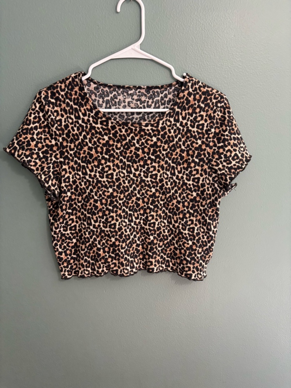 American Eagle Outfitters Leopard Print Crop Top - Beige & Black
